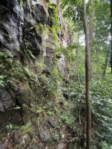Felsen und Farne im Regenwald von São Tomé