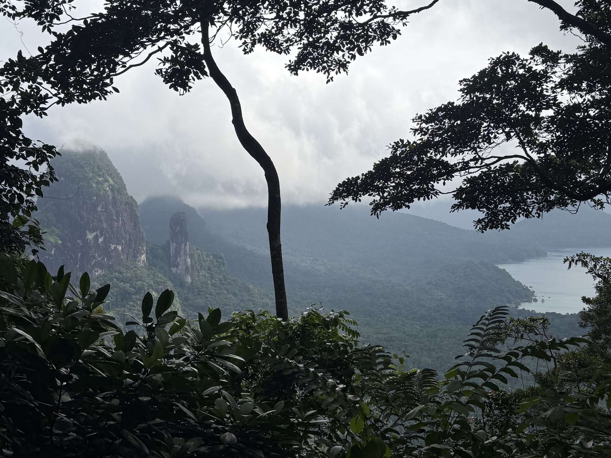 Nebelverhangene Bergsilhouetten auf São Tomé und Príncipe